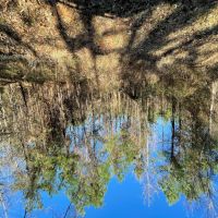 LA - Caldwell 40 acres -