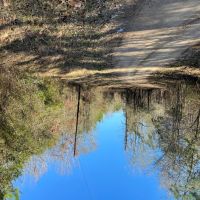 LA - Caldwell 40 acres - images 2