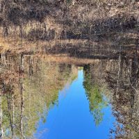 LA - Caldwell 40 acres - images 4