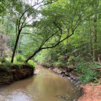 Outdoor Paradise in North Meriwether images 2
