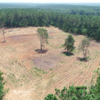 Outdoor Paradise in North Meriwether images 3