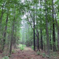 Outdoor Paradise in North Meriwether images 4