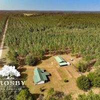Bull Pond Road Tract