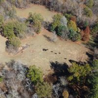 152 acres M L Weakley County TN images 4