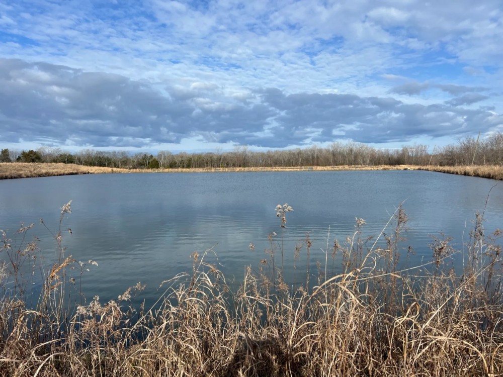 Catfish Farm in Perry County AL featured image