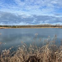 Catfish Farm in Perry County AL