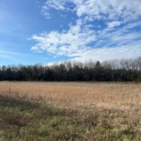 Catfish Farm in Perry County AL images 2