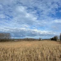 Catfish Farm in Perry County AL images 3
