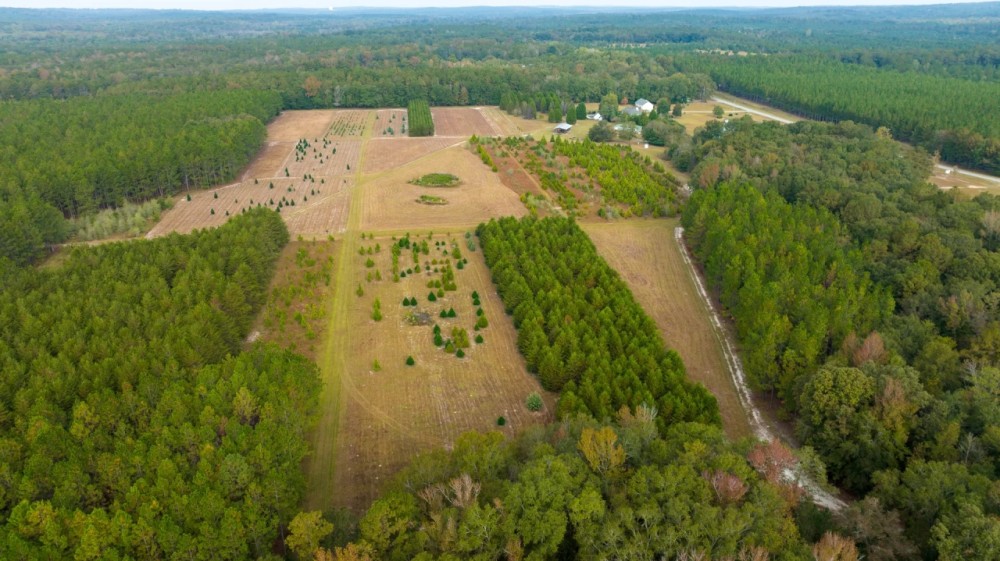 Sandy Creek Farm With Improvements featured image