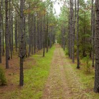 Sandy Creek Farm With Improvements images 2