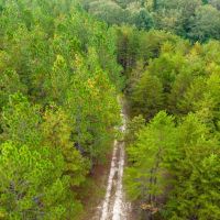 Sandy Creek Farm With Improvements images 3