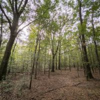 Sandy Creek Farm With Improvements images 4