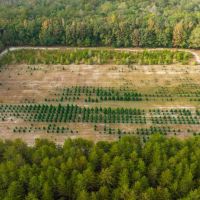 Sandy Creek Farm With Improvements images 5