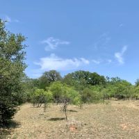 New Listing 8.5 - Acres Eastland County West images 3