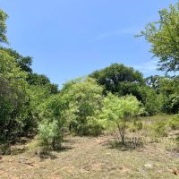 New Listing 8.5 - Acres Eastland County West images 5