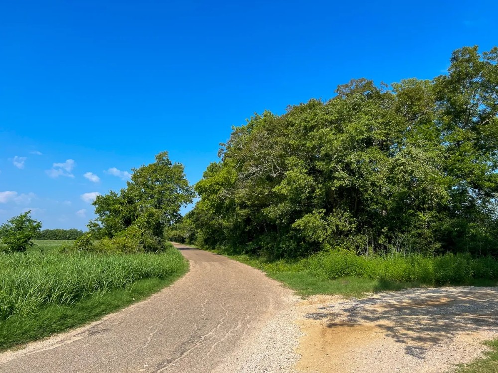103 Acres County Road 328 featured image