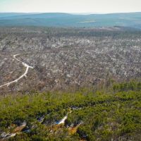 Hunting Recreational Land For Sale Honobia Oklahoma images 3