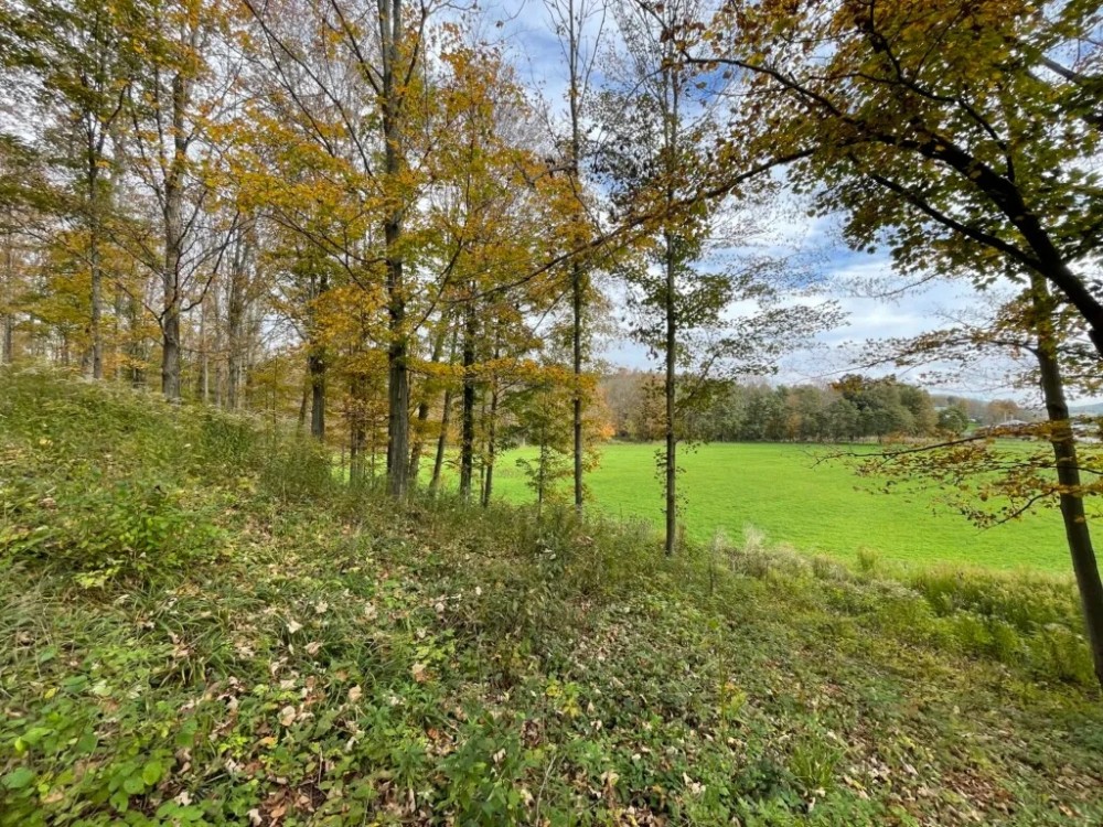 2 acres Building Lot with Fields and Woodlands in Woodhull NY Colvin Hill Road with Owner Financing featured image