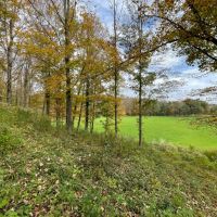 2 acres Building Lot with Fields and Woodlands in Woodhull NY Colvin Hill Road with Owner Financing