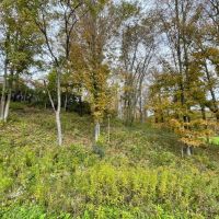 2 acres Building Lot with Fields and Woodlands in Woodhull NY Colvin Hill Road with Owner Financing images 2