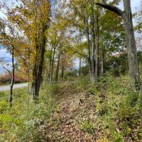 2 acres Building Lot with Fields and Woodlands in Woodhull NY Colvin Hill Road with Owner Financing images 4