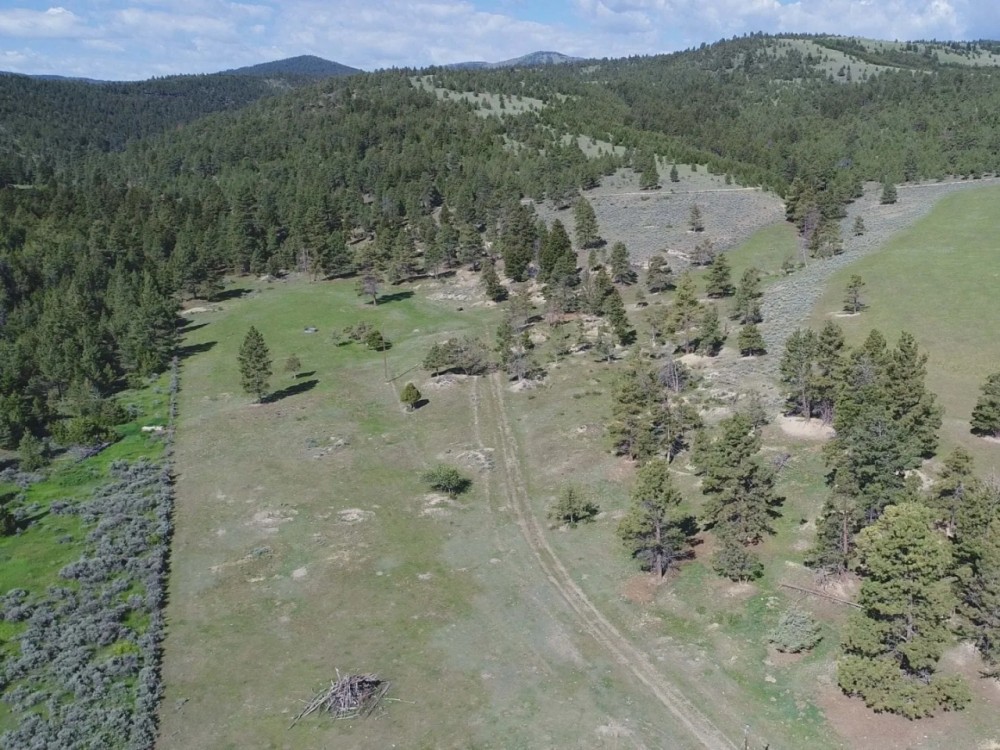 Settle Ranch featured image