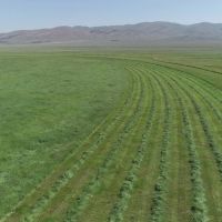 Settle Ranch images 2