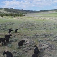 Settle Ranch images 3