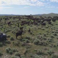 Settle Ranch images 4