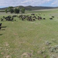 Settle Ranch images 5