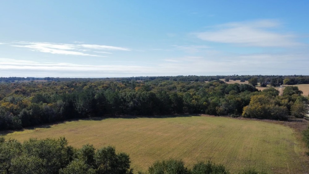 118 acres - in Franklin TX featured image