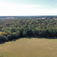 118 acres - in Franklin TX images 2