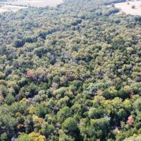 118 acres - in Franklin TX images 5
