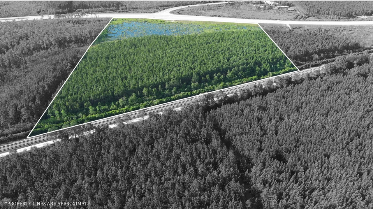 30 acres in Waycross water and pines Valdosta Hwy Hunting Land