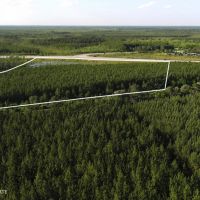 30 acres in Waycross - water and pines - Valdosta Hwy images 4