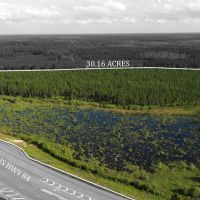 30 acres in Waycross - water and pines - Valdosta Hwy images 5