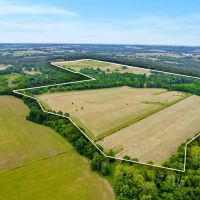 000 East 530th Road Pleasant Hope MO 65725