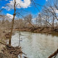 000 East 530th Road Pleasant Hope MO 65725 images 3