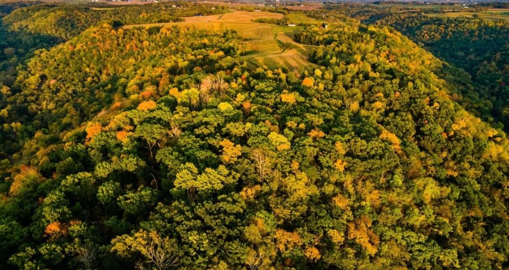 Vernon County Wisconsin 40 Acres of Land For Sale featured image