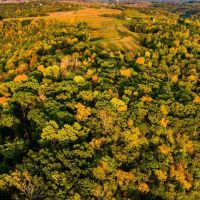 Vernon County Wisconsin 40 Acres of Land For Sale