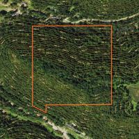 Vernon County Wisconsin 40 Acres of Land For Sale images 2