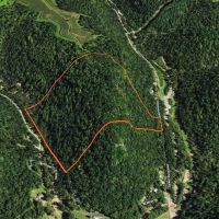 Vernon County Wisconsin 40 Acres of Land For Sale images 4