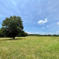 158 Acres - Gaffney South Carolina images 2