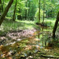 158 Acres - Gaffney South Carolina images 3