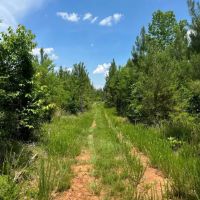158 Acres - Gaffney South Carolina images 4