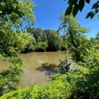 158 Acres - Gaffney South Carolina images 5