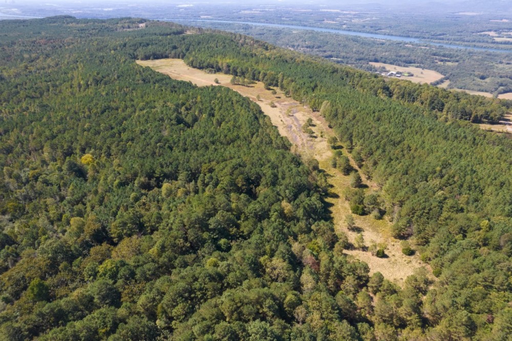 87 - Acres Jackson County AL featured image