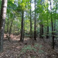 LA - Union 40 acres -