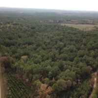 LA - Union 40 acres - images 2