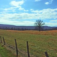 257 ACRE FARM WITH PANORAMIC VIEWS IN CRAB ORCHARD TENNESSEE images 5